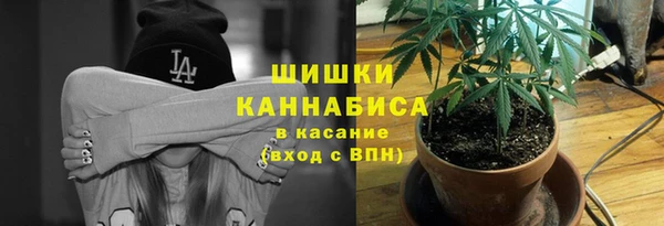 PSILOCYBIN Надым