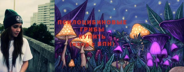 PSILOCYBIN Абдулино