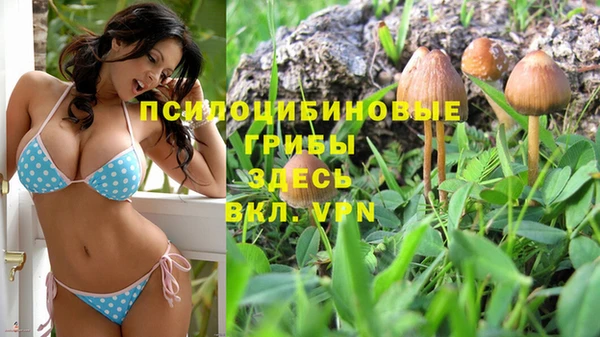 бошки Абаза