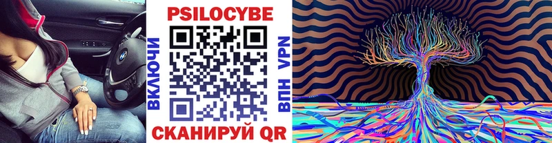 Псилоцибиновые грибы мухоморы  blacksprut рабочий сайт  даркнет официальный сайт  Хилок 
